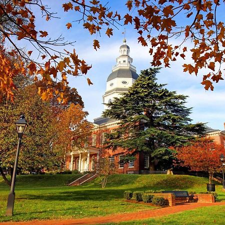 Seashell In The City - Itrip Annapolis Villa Esterno foto