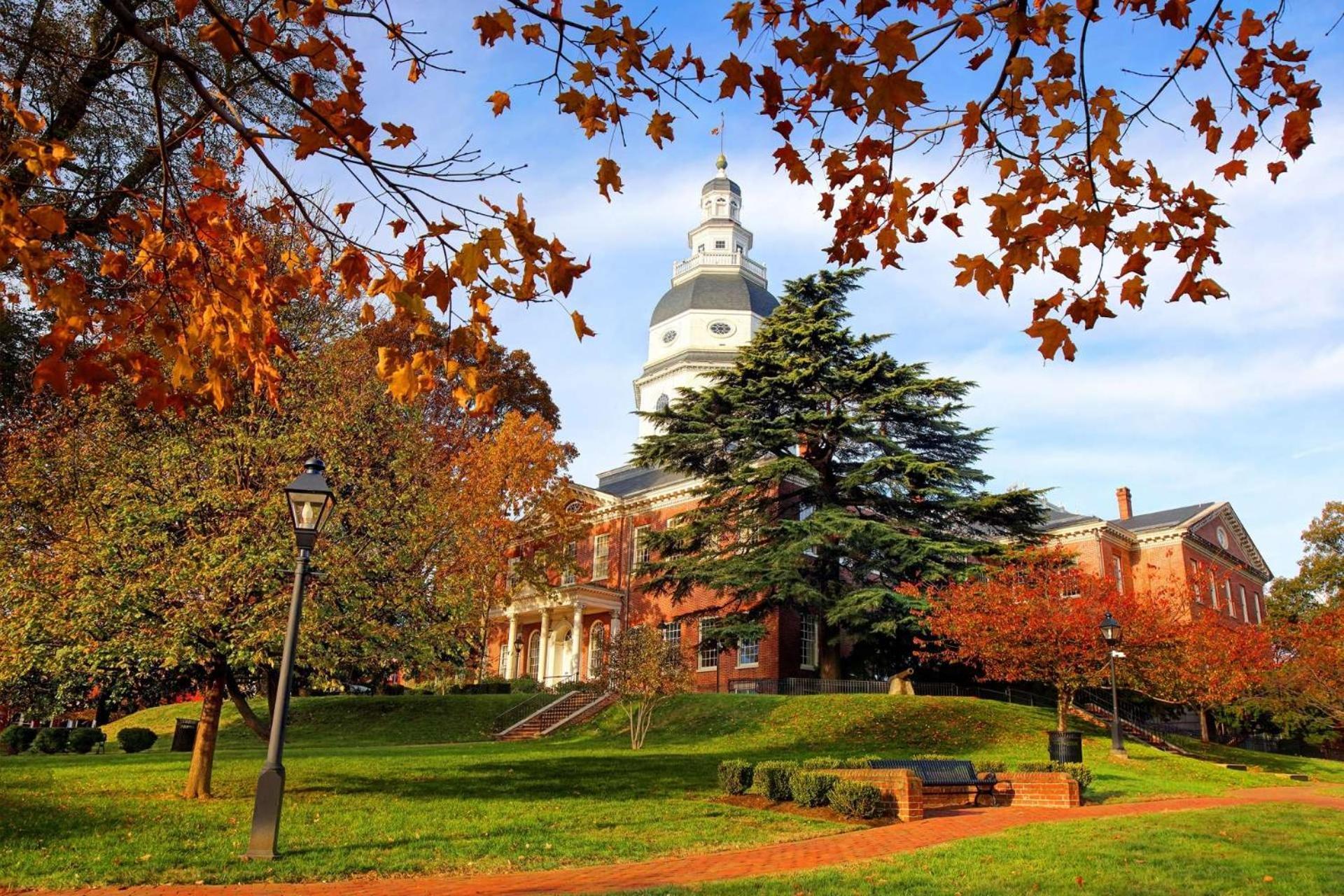 Seashell In The City - Itrip Annapolis Villa Esterno foto